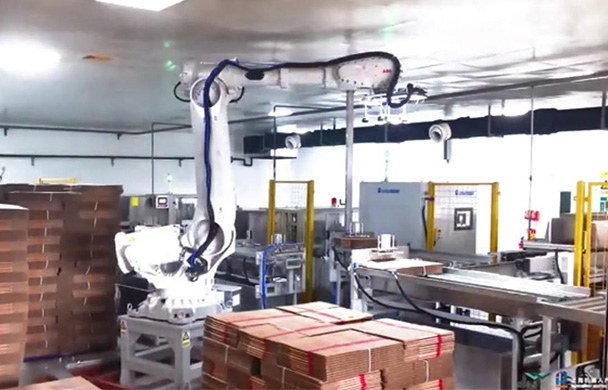 包裝行業(yè)開箱機(jī)自動(dòng)上箱系統(tǒng)